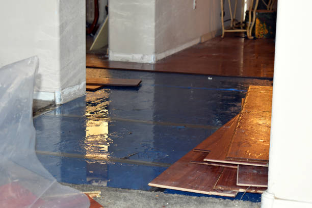 Professional Water Extraction technician working in Badger, CA